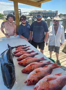 3 mangrove red snapper caught during fishing trip in AL