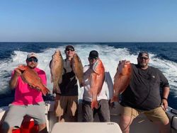 Hard-fighting Snapper haul offshore!