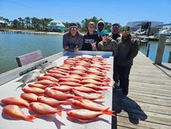 Epic Vermilion Snapper limit!