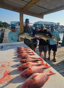 Four Crevalle Jack and Bluefish caught while fishing in Alabama