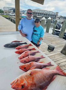 Two anglers fishing for southern black bream in Alabama