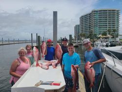 5 great fish caught while fishing in AL