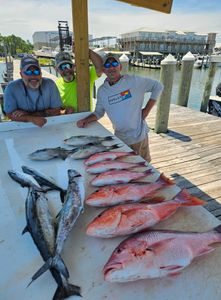 Fishing trip with 5 fish caught in Gulf Shores