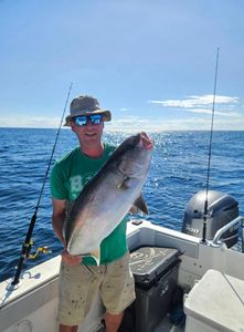 Greater amberjack caught fishing in Gulf Shores AL on boat with fishing rods