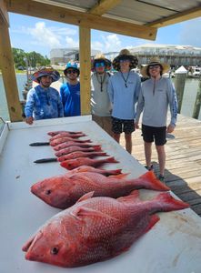 Grey Snapper fish caught in AL