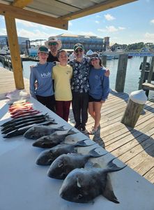 Successful fishing trip displaying multiple grey triggerfish catch on dock in Gulf Shores AL
