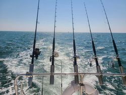 Gulf Shores fishing adventure