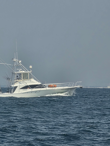 Ready for action in Gulf Shores waters!