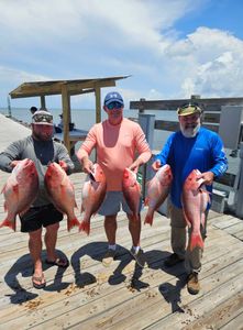 Red snapper fishing catch displayed on wooden dock in Gulf Shores AL