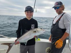 Longfin Yellowtail fish caught while fishing in AL
