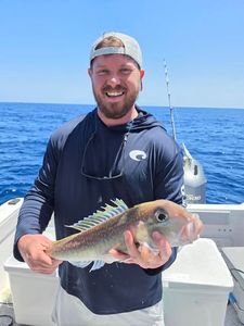 Angler holding caught fish on fishing boat in Orange Beach AL waters