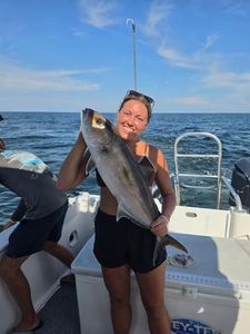 Greater amberjack caught while fishing in Orange Beach AL