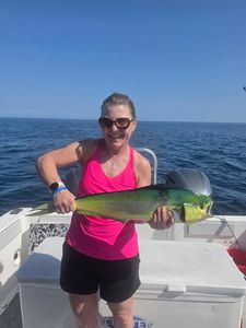Mahi mahi catch displayed on fishing boat in Orange Beach AL waters