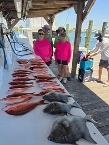 Successful fishing trip displaying red snapper and grey triggerfish catch on boat deck at Orange Beach AL