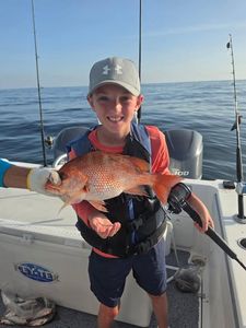 Red snapper caught while fishing in Orange Beach AL