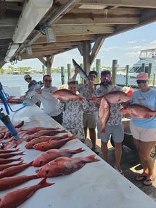 Successful red snapper fishing trip in Orange Beach AL with multiple fish displayed on boat deck