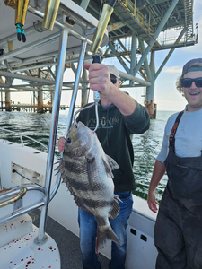 Reeling in the catch of the day!