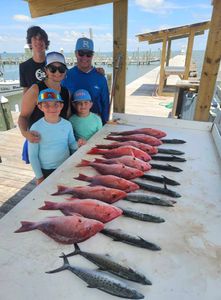 4 spanish mackerel caught while fishing in Alabama