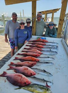7 Spanish Mackerel fish caught in Gulf Shores