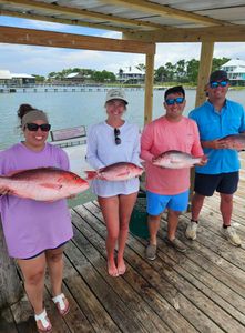4 people fishing in AL