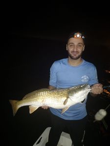Jamaica Beach Fishing Night trip Redfsih!