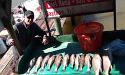 7 spotted weakfish caught while fishing in TX