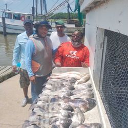 Black drum fish caught in Texas City