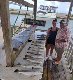 Four huge fish caught in Texas City