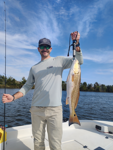 Beautiful Galveston redfish caught using deep sea light tackle!