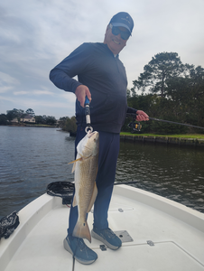 Beautiful Galveston redfish caught on light tackle!