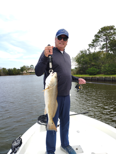 Beautiful Galveston redfish caught on light tackle!