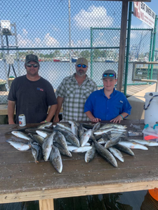 Four big fish caught in Pass Christian