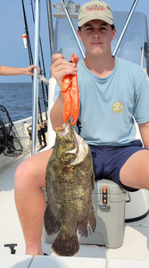 Tripletail fish caught on fishing trip in MS