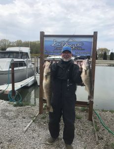 Lake Erie Charters, Walleye