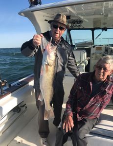 Lake Erie Fishing Trips