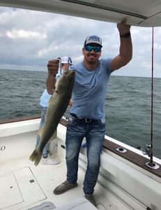 Lake Erie Fishing, Walleye