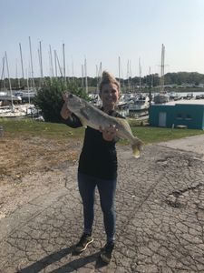 Lake Erie Walleye Fishing