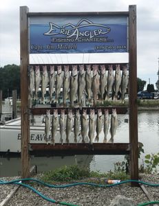 Another perfect catch on Erie’s blue waves.