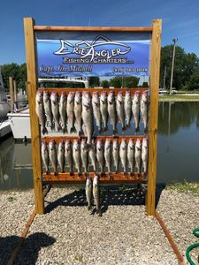 Lake Erie Walleye Charters