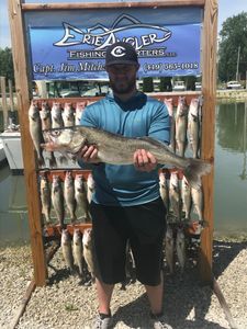 Lake Erie Fishing, Walleye