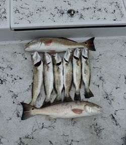 Fishing excitement in Port Isabel's waters