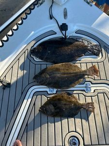 Three Southern Flounder and Summer Flounder in North Carolina waters