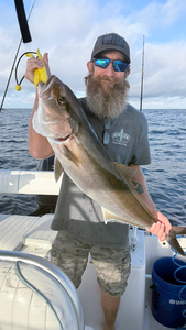 Another successful day of deep sea fishing in South Florida!