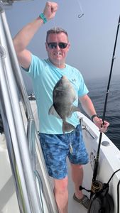 Grey triggerfish caught while fishing on the coast of Florida