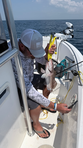 South Florida red grouper brought to the boat!