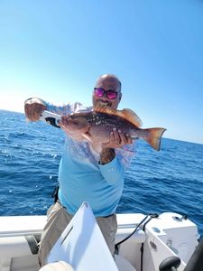 Red Grouper caught while fishing in FL