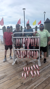 Impressive pink fish haul on the South Florida docks!
