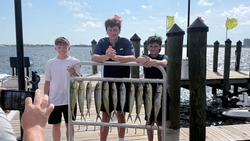 Triple mahi mahi success in South Florida waters!