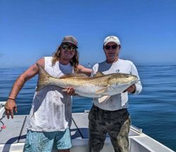 Hatteras fishing trips filled with excitement