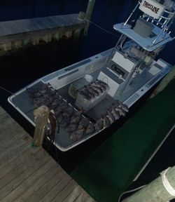 Hatteras: where every catch is an adventure
